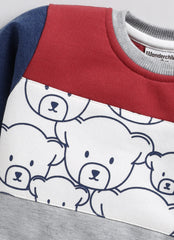 Kids Sweatshirt - Teddy