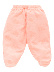 Girls Full Sleeve Top and Pajama - Orange Teddy